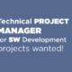 Technical Project Manager for SW development projects