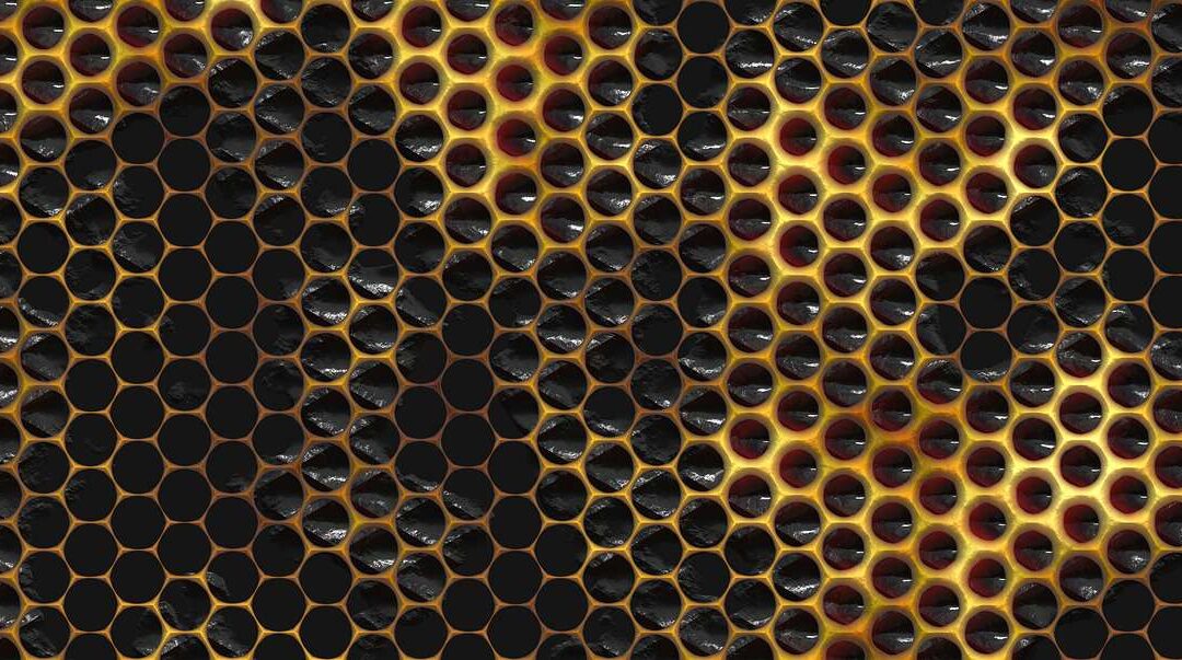 Integrate VPP & Honeycomb & Extension of VPP Services