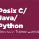 developer trainee