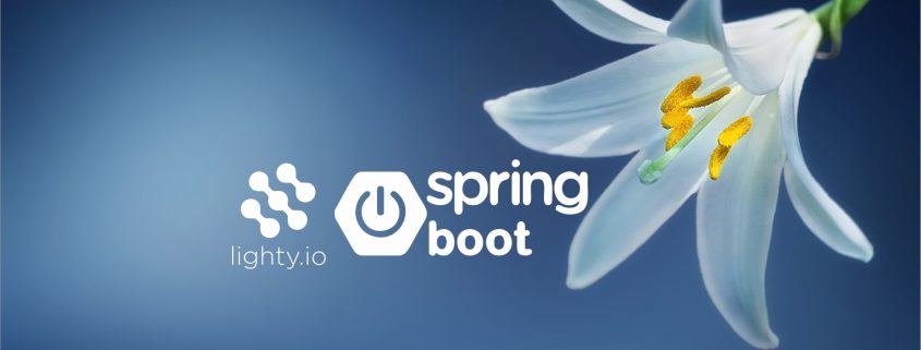 spring.io & lighty.io integration