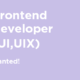 frontend dev