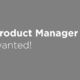 product manager