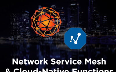 [Integration] Network Service Mesh & Cloud-Native Functions