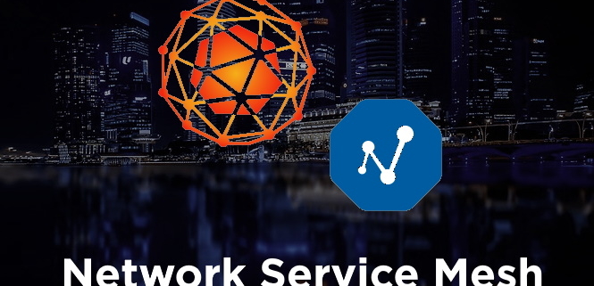 Network Service Mesh & CNF's by PANTHEON.tech