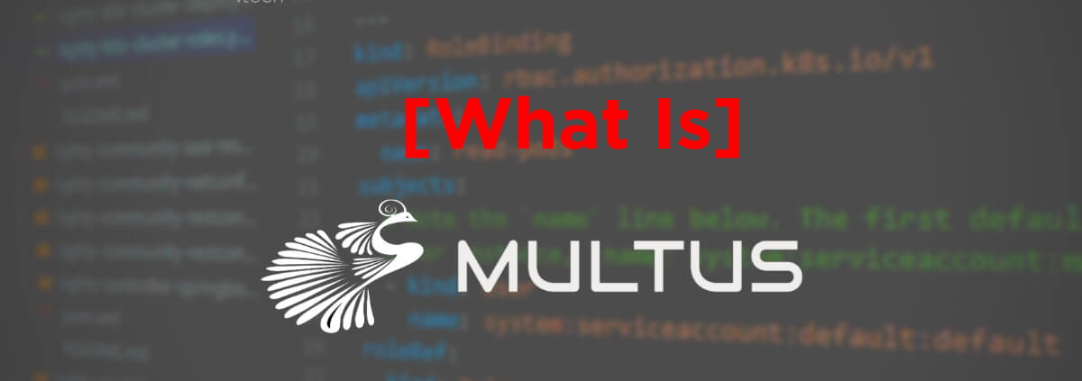 What is Multus? Explanation by PANTHEON.tech