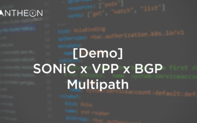 [Demo] SONiC VPP BGP Multipath